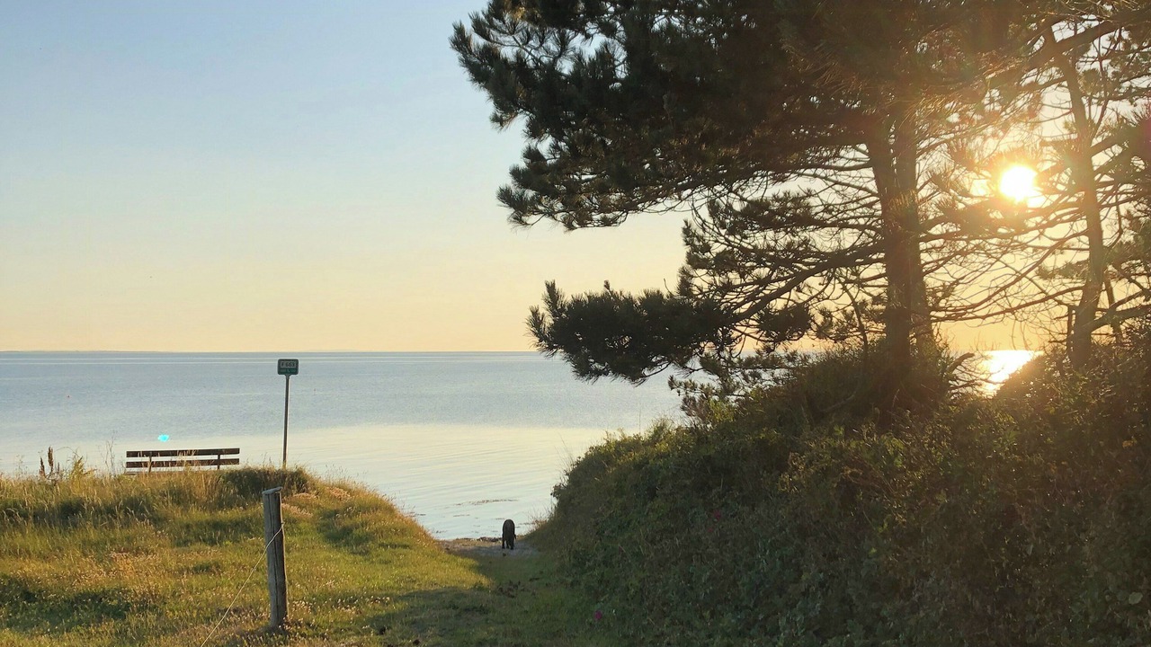 Photo of Others in Samsø