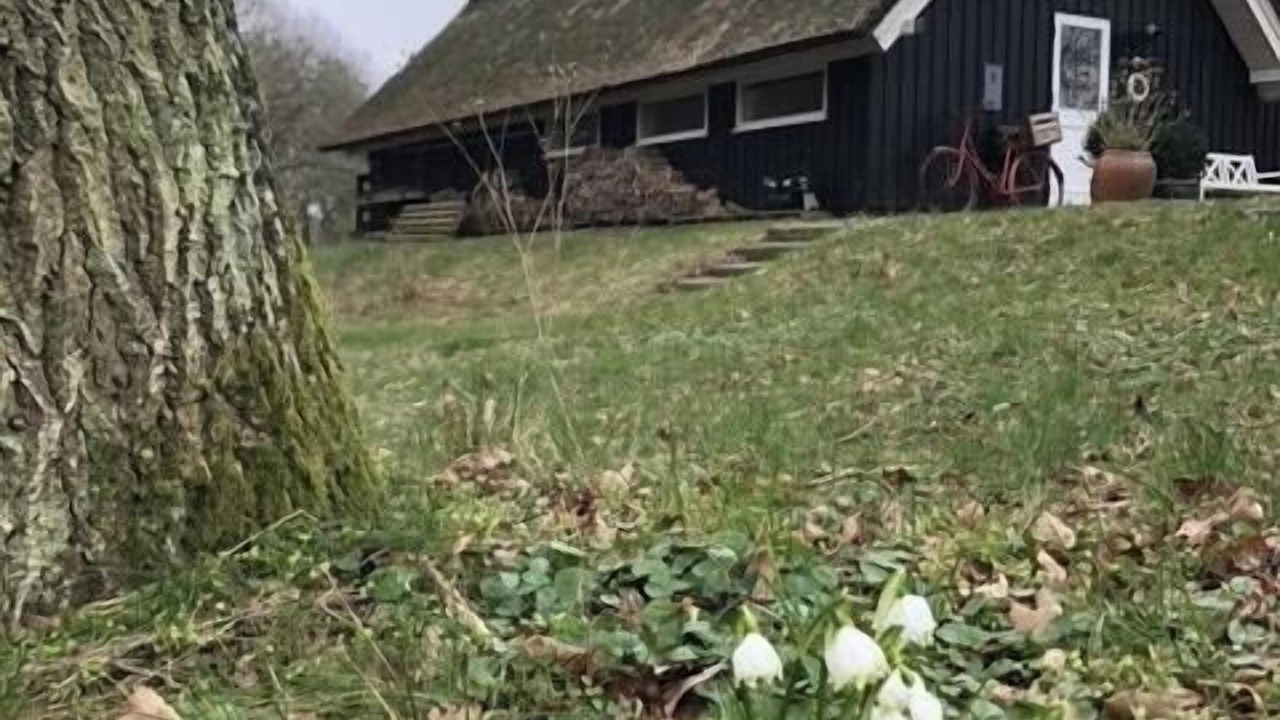 Photo of Outdoor in Vedelshave