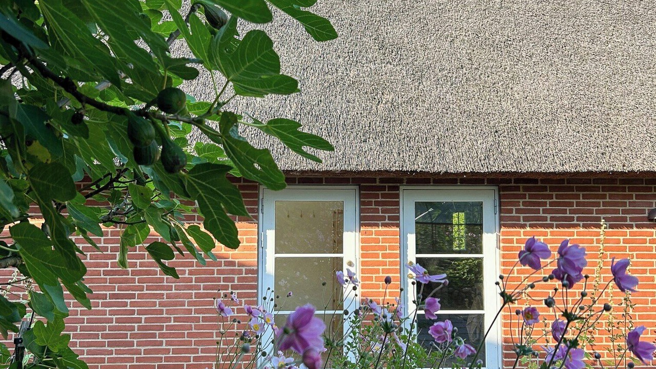Photo of Outdoor in Skanderborg Municipality