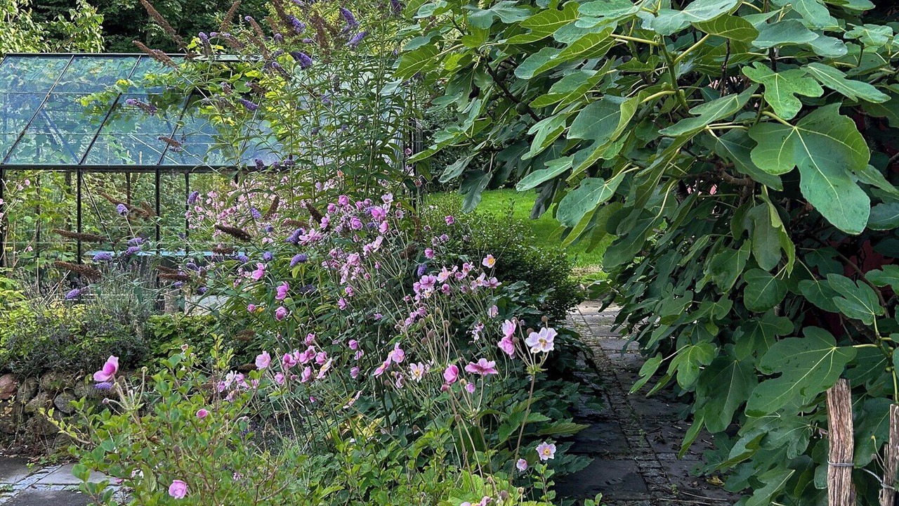 Photo of Outdoor in Skanderborg Municipality