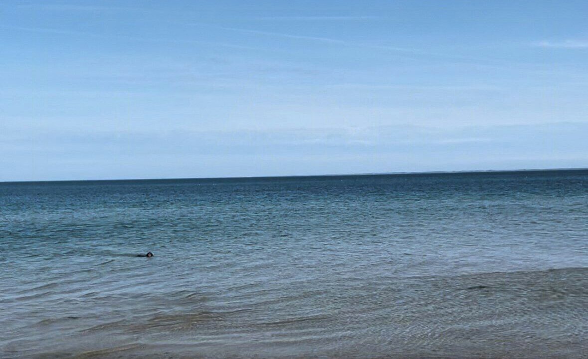Photo of Others in Hoeve Strand