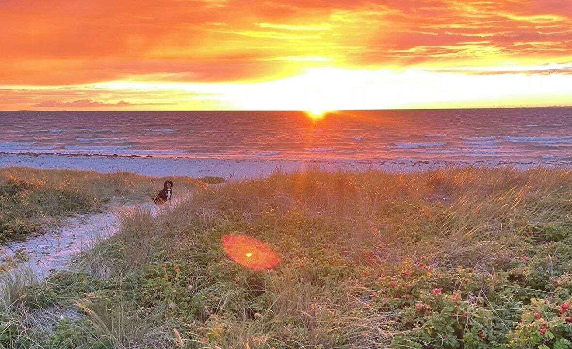 Photo of Others in Hoeve Strand