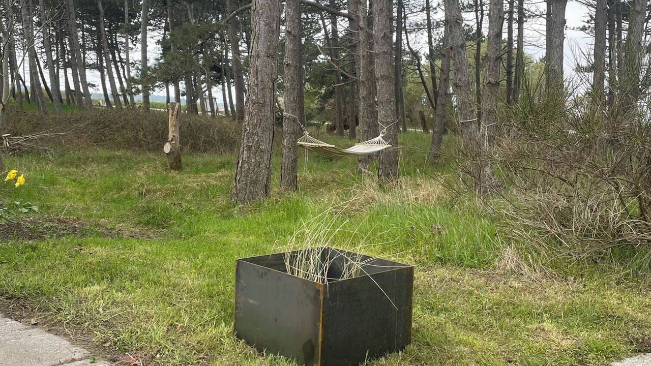 Photo of Outdoor in Samsø