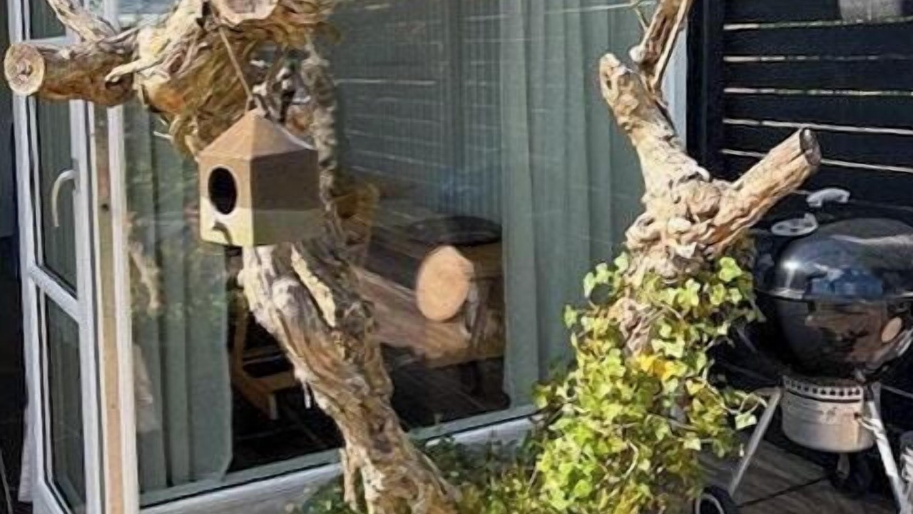 Photo of Patio Balcony in Vejlby Fed