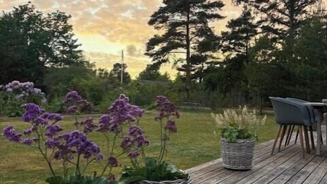 Photo of Outdoor in Vejlby Fed