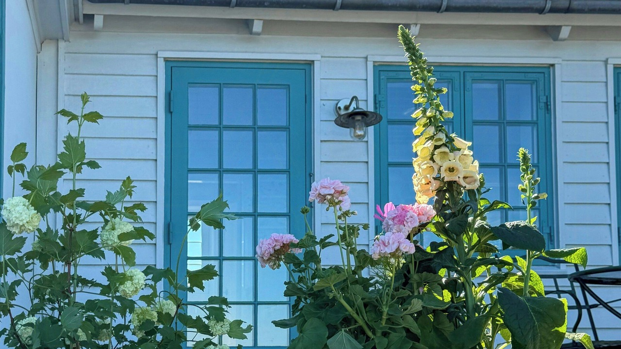 Photo of Outdoor in Gilleleje