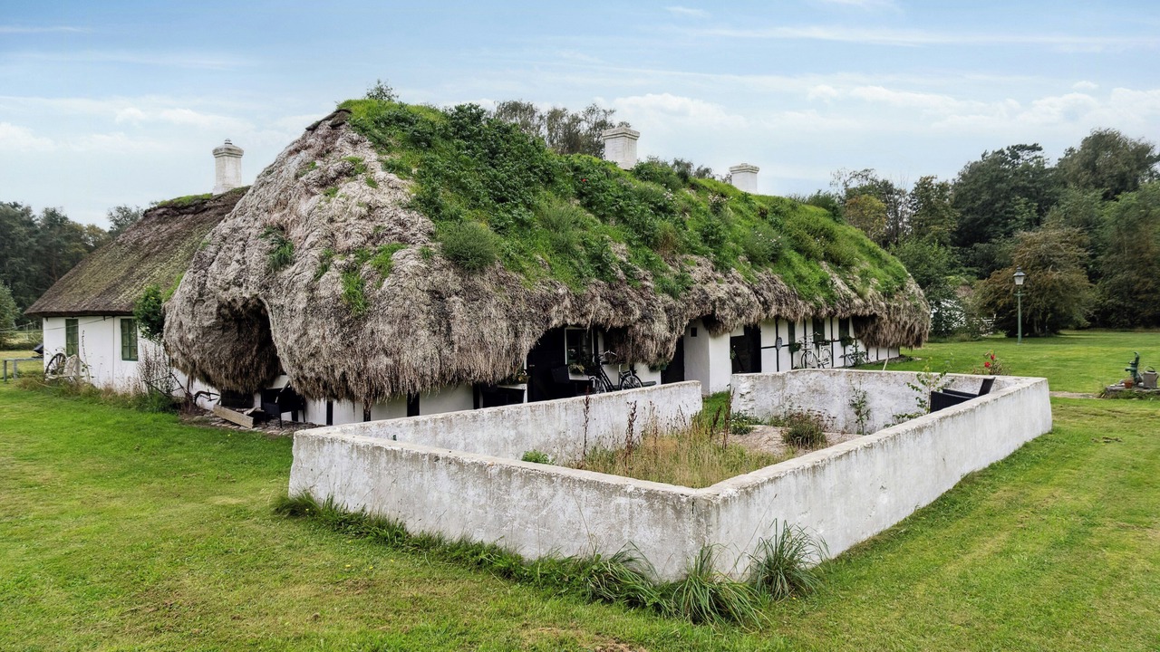 Photo of Outdoor in Læsø
