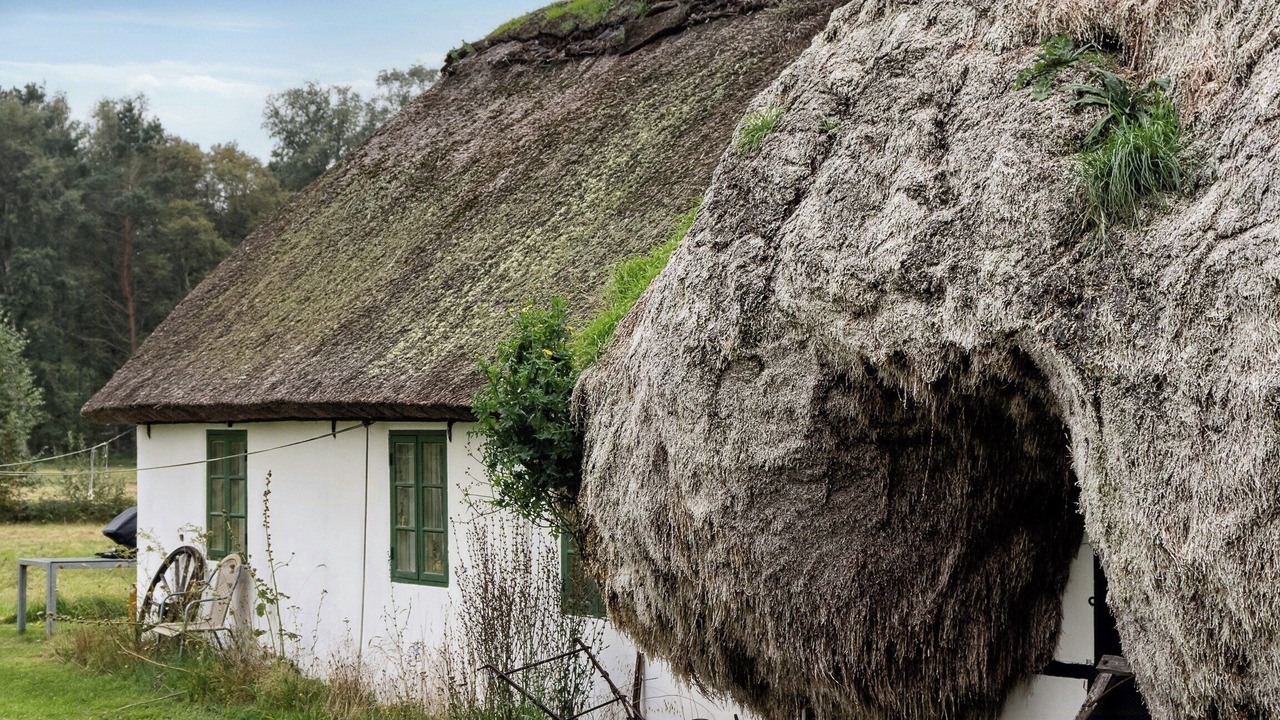 Photo of Outdoor in Læsø