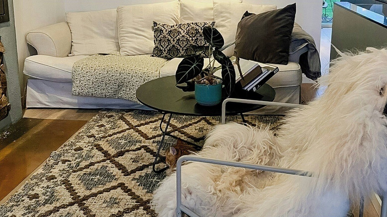 Photo of Livingroom in Fredericia