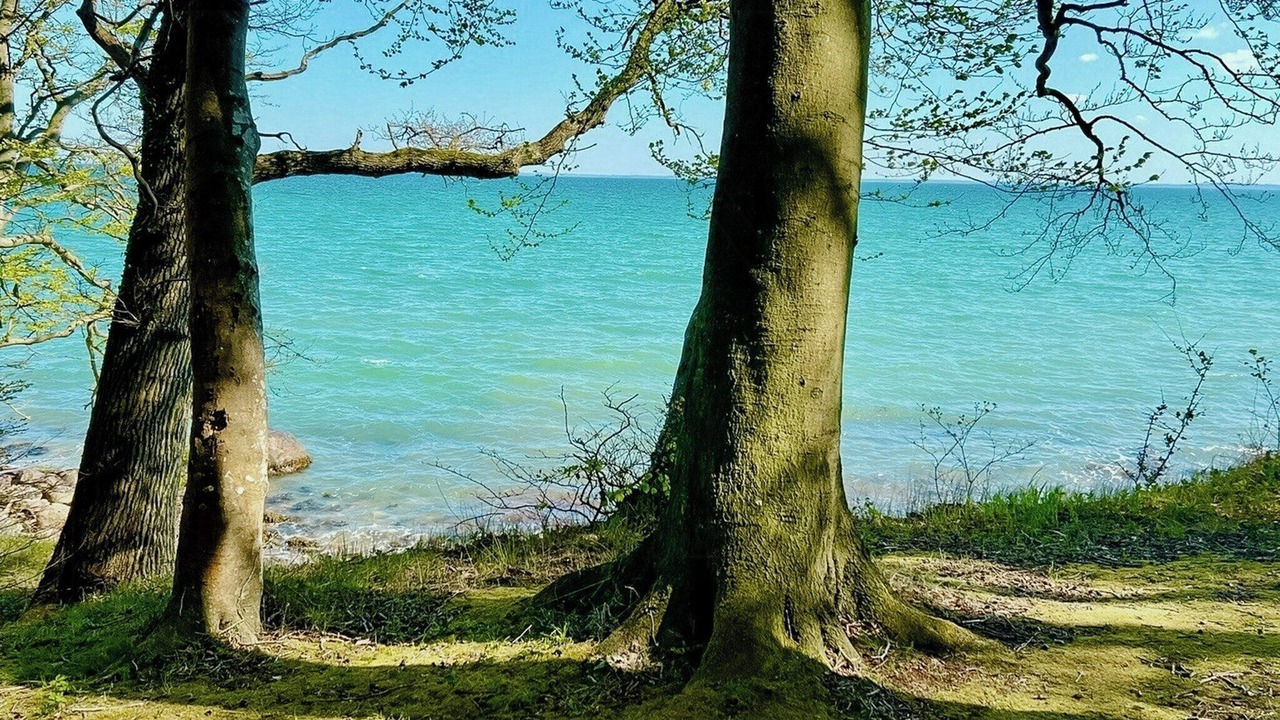 Photo of Others in Fredericia