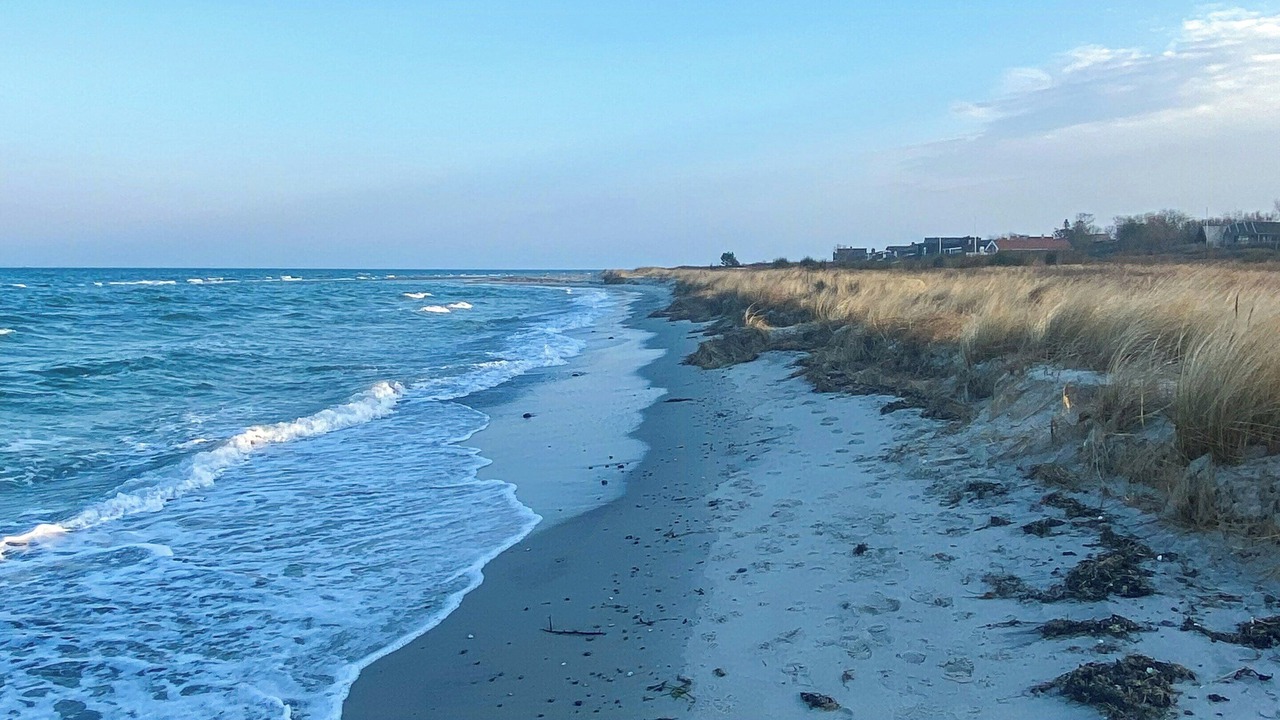 Photo of Others in Saksild Strand