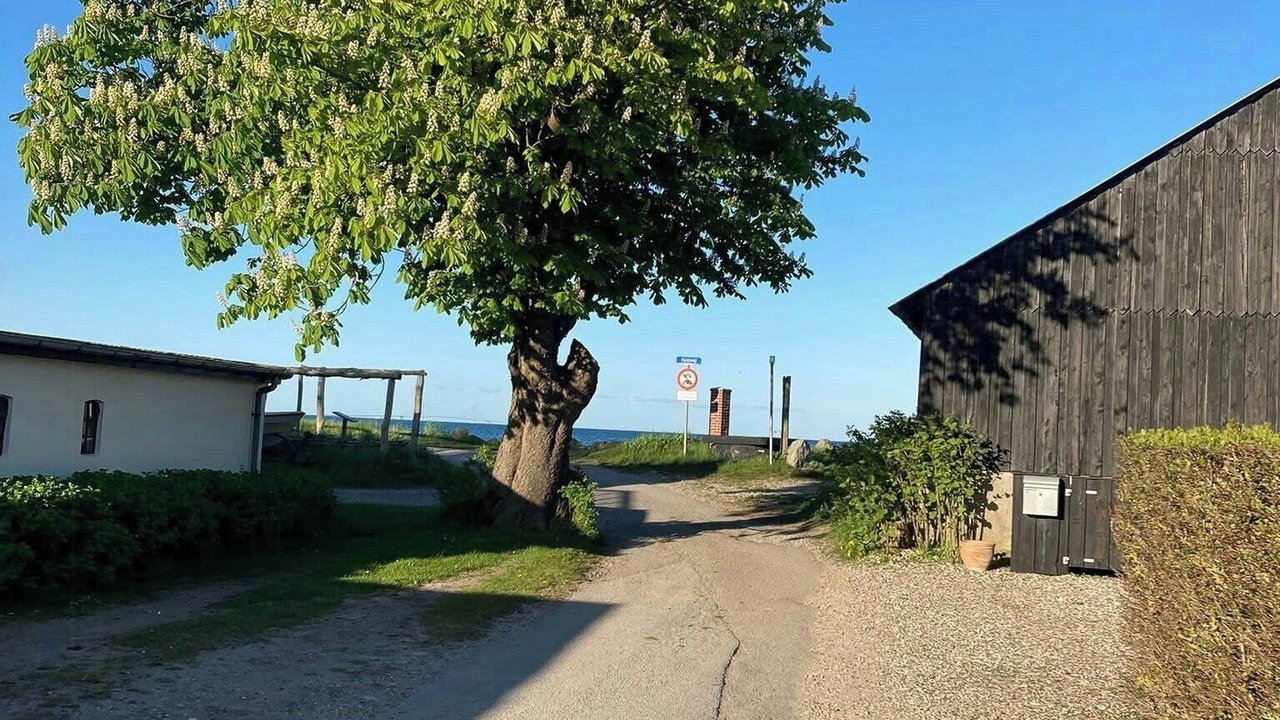 Photo of Outdoor in Frørup