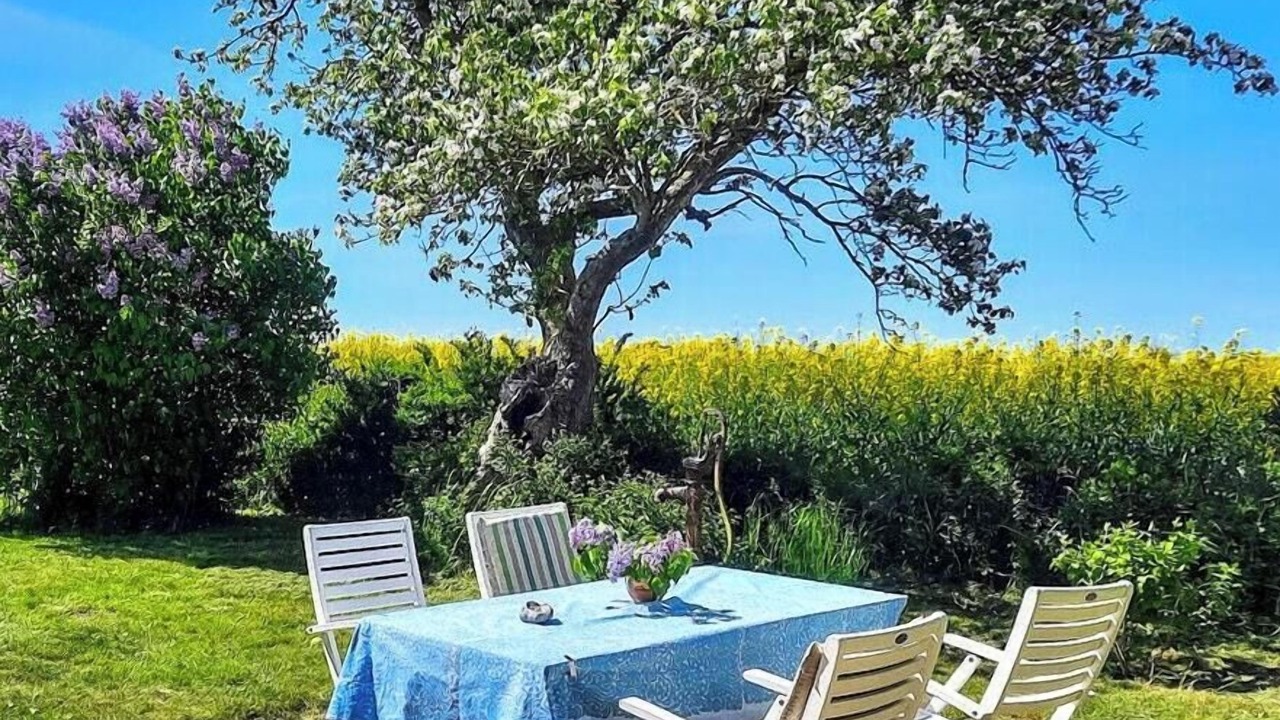 Photo of Outdoor in Humble