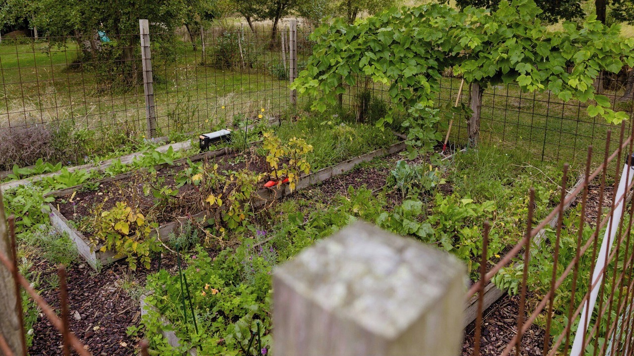 Photo of Outdoor in Rrvig