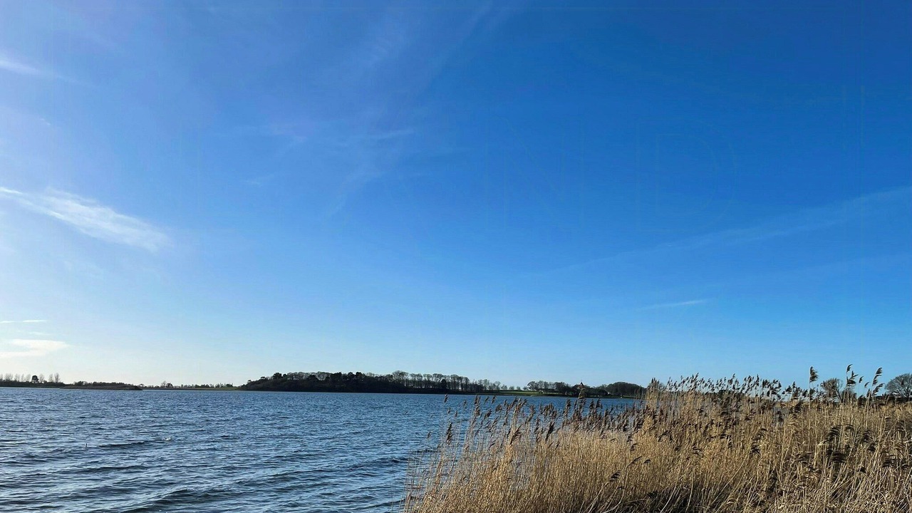Photo of Others in Haarby