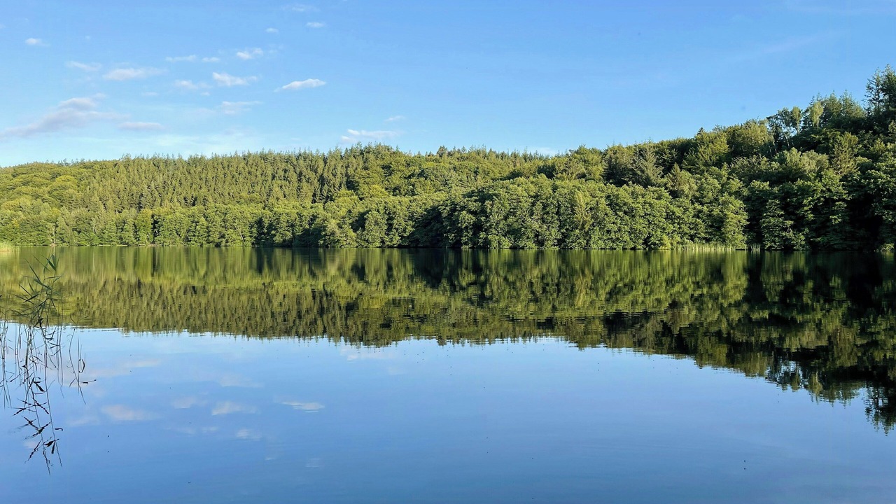 Photo of Others in Silkeborg