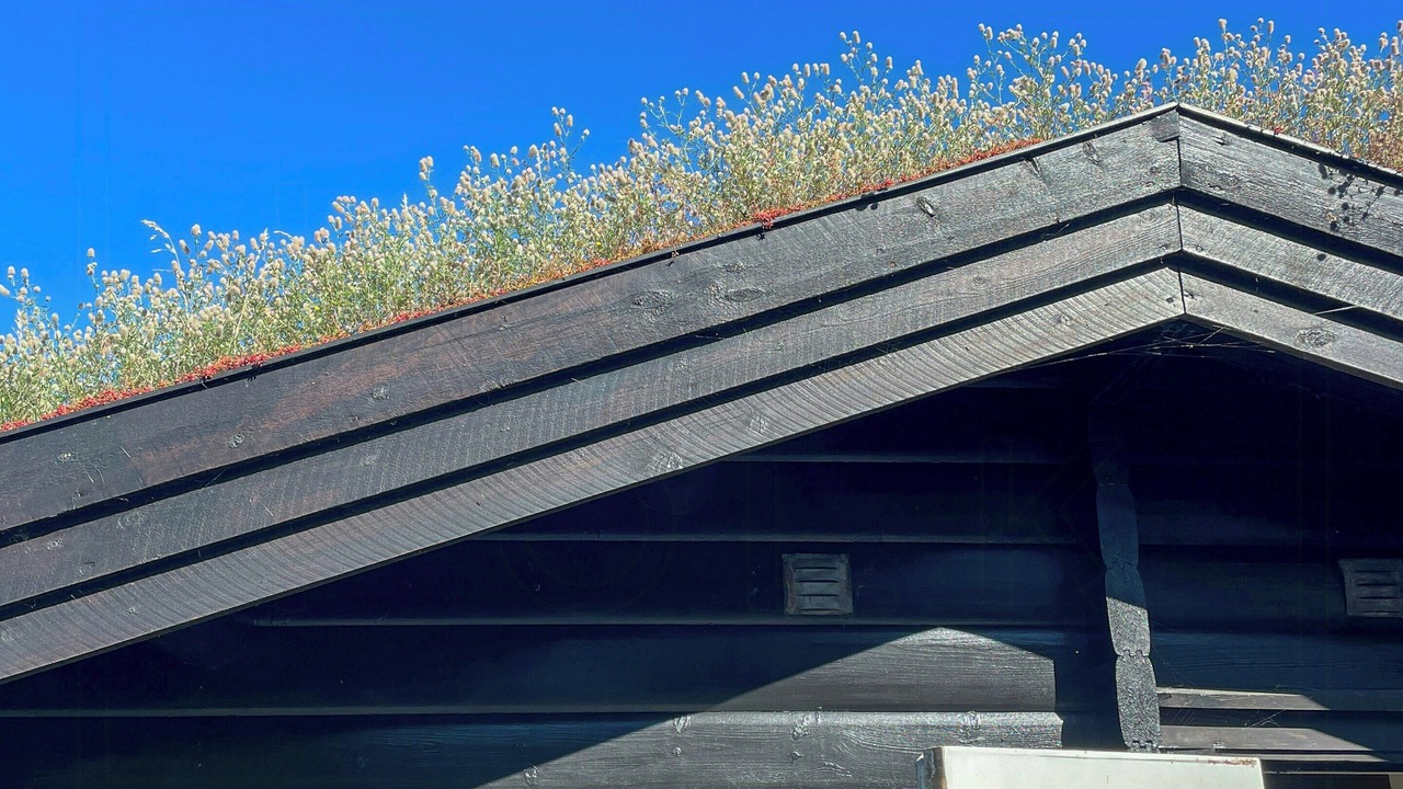 Photo of Outdoor in Vordingborg