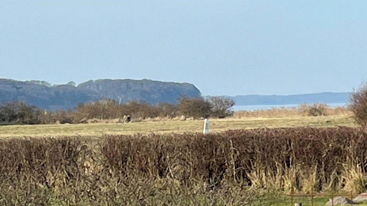 Photo of Others in Vejlby Fed