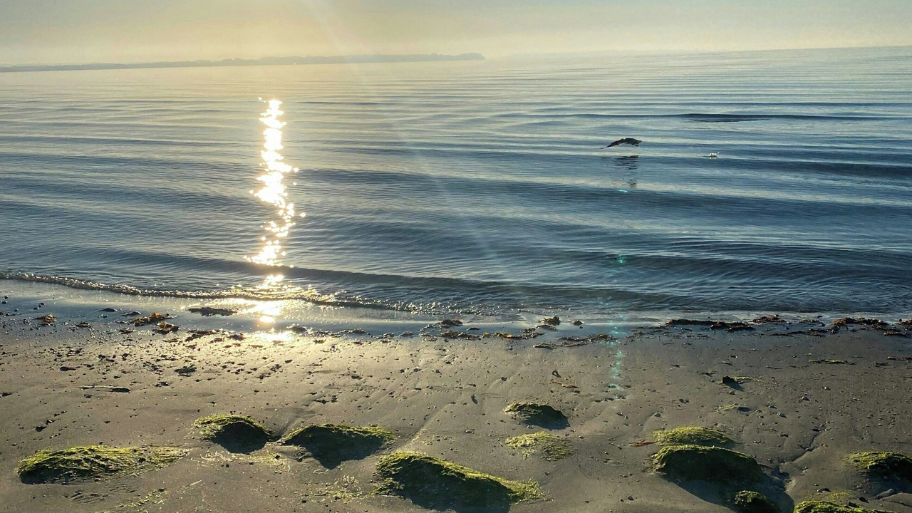 Photo of Others in Skæring