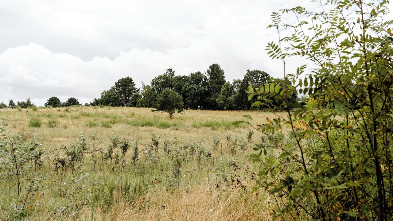 Photo of Others in Faarevejle