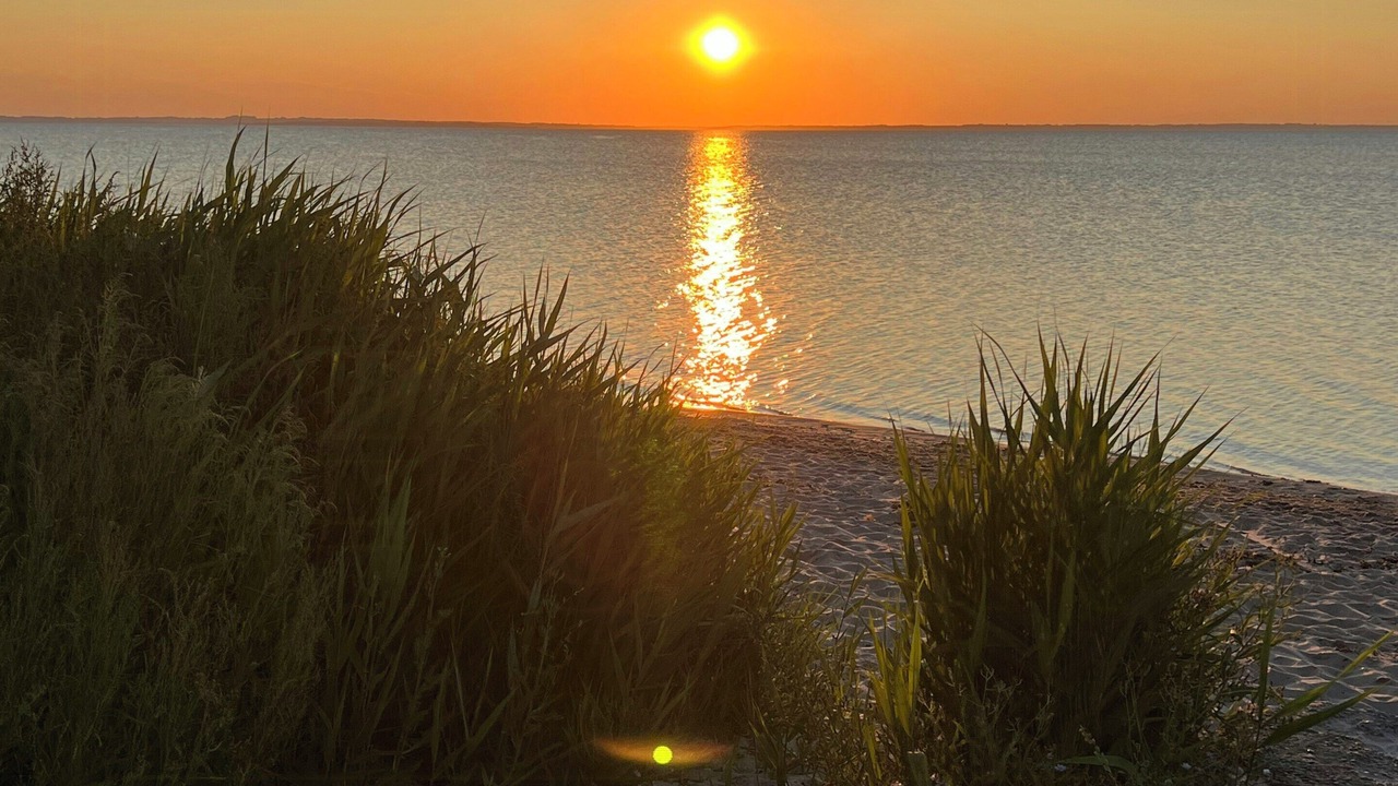 Photo of Others in Nordborg