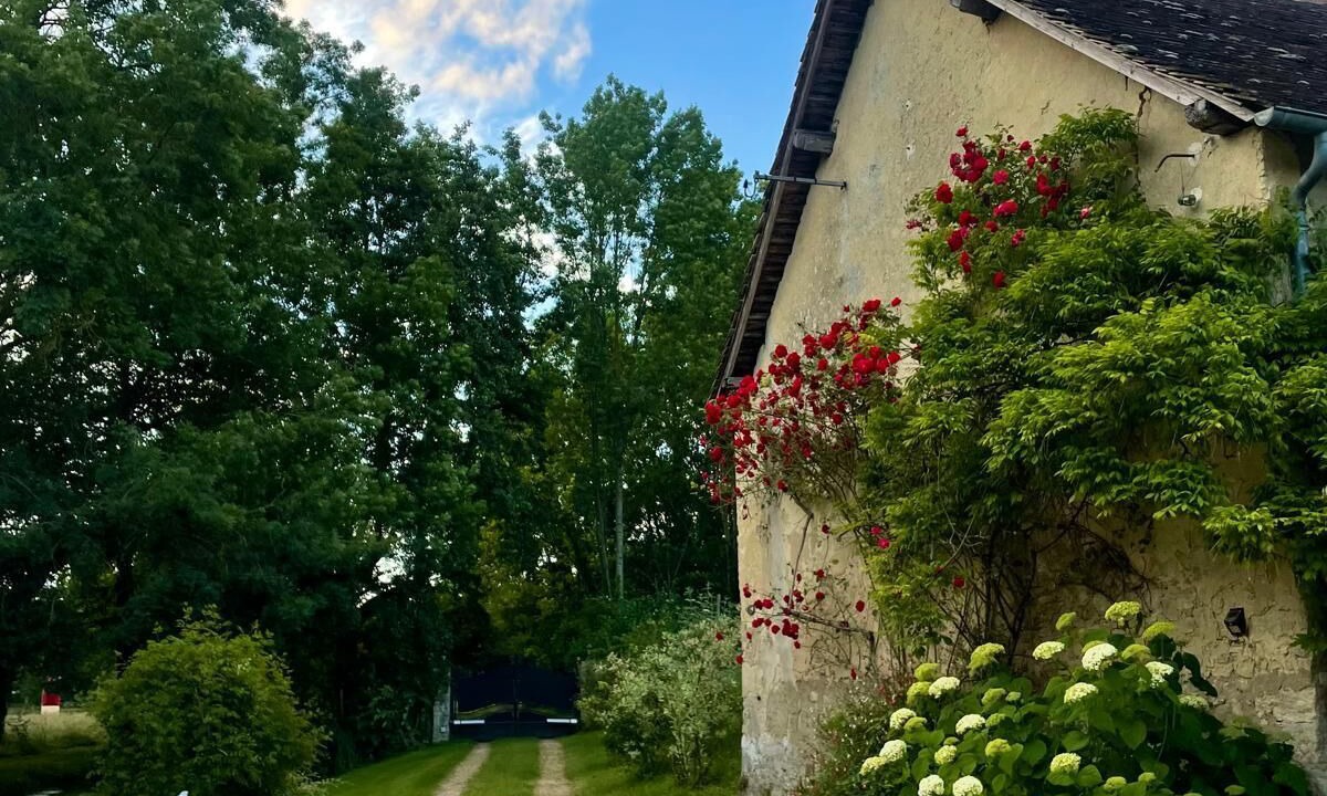 Photo of Outdoor in Maigne