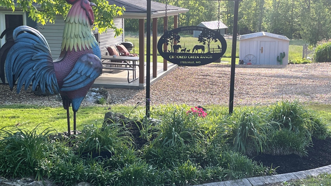 Photo of Outdoor in Cook Station
