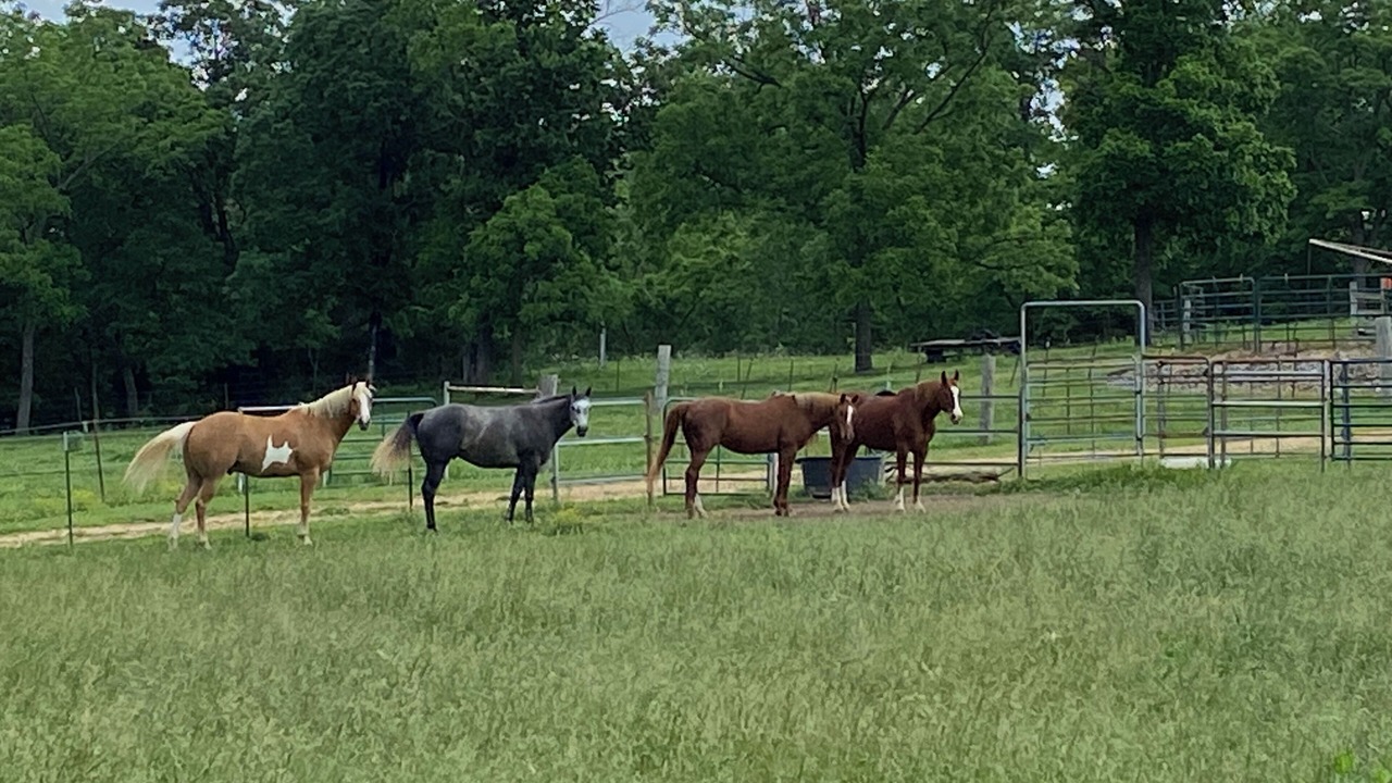 Photo of Others in Cook Station