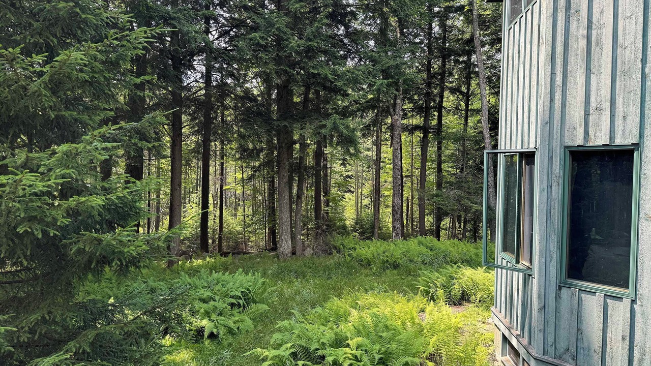 Photo of Outdoor in Long Lake