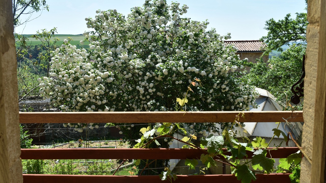 Photo of Outdoor in Dun-sur-Meuse
