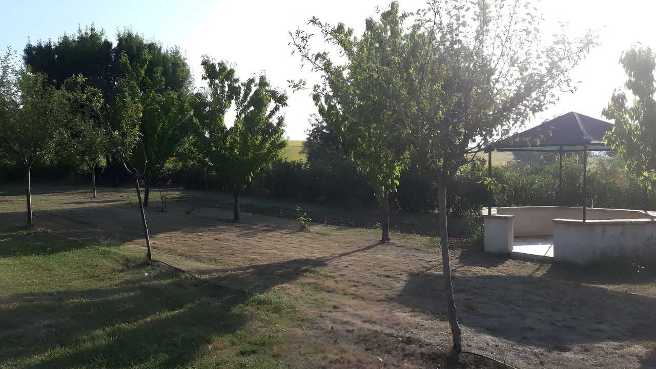 Photo of Outdoor in Vignaux