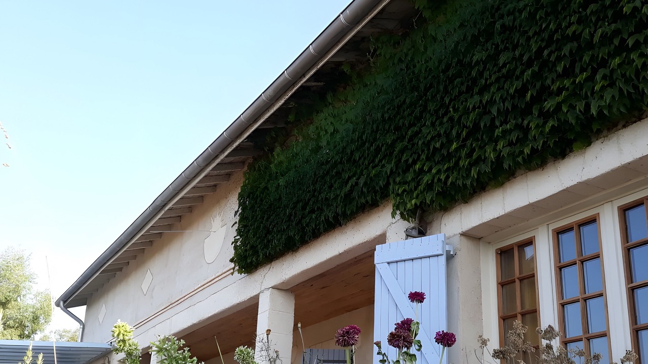 Photo of Outdoor in Vignaux