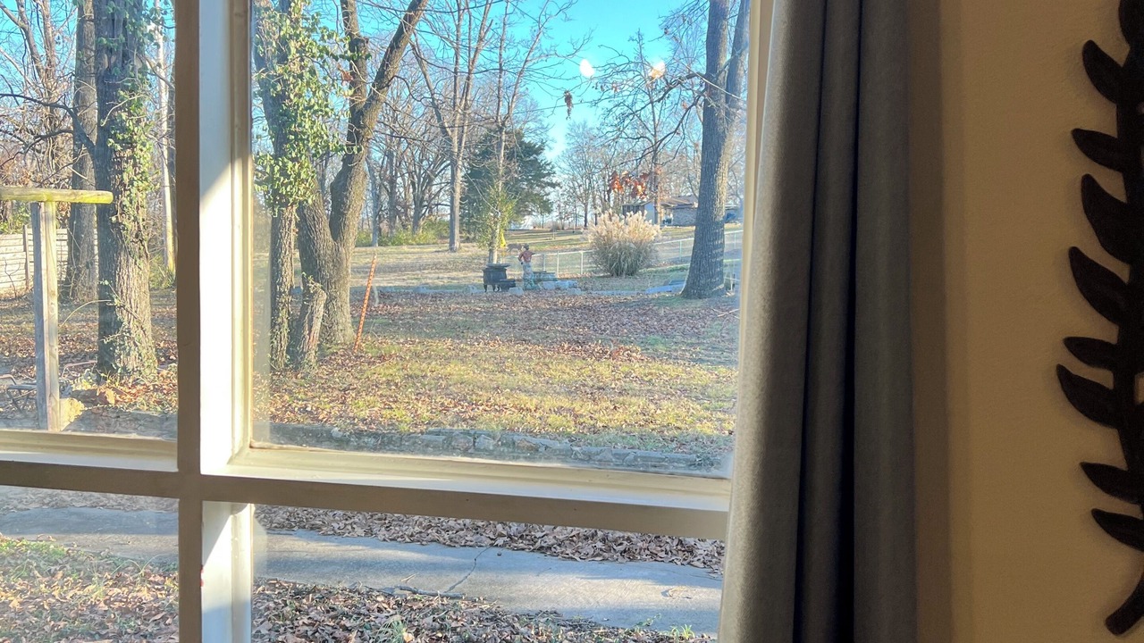 Photo of Others in Shoal Creek Drive