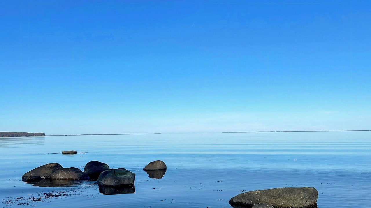 Photo of Others in Holbaek