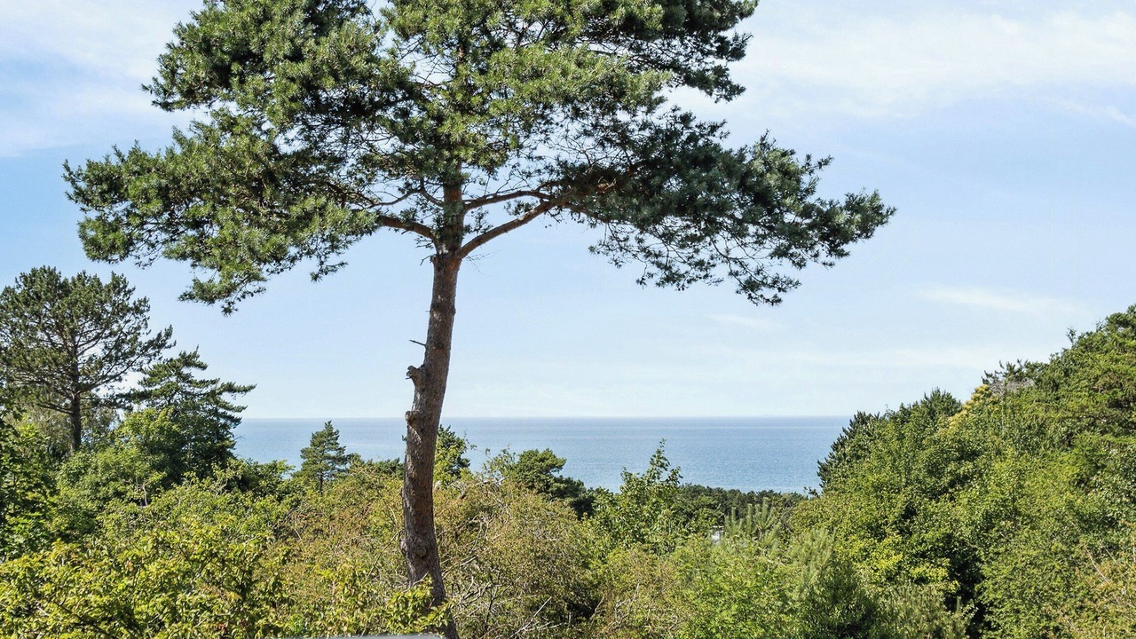 Photo of Outdoor in Hoeve Strand