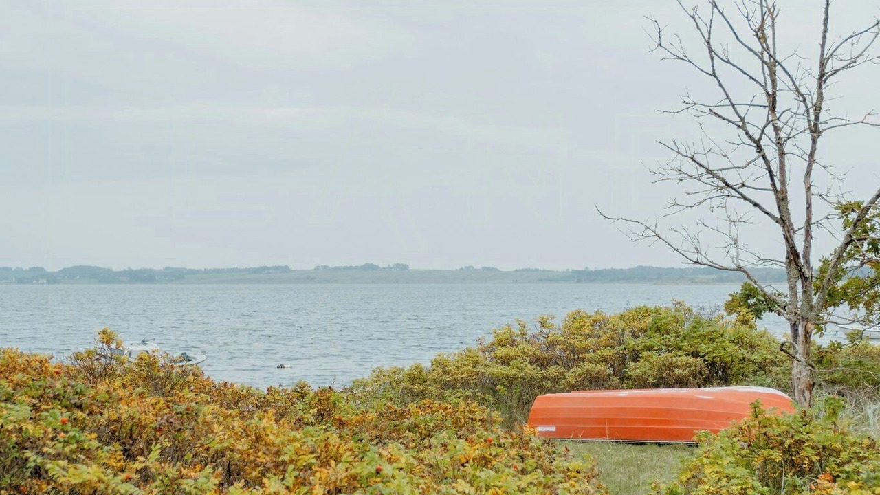 Photo of Others in Ronbjerg