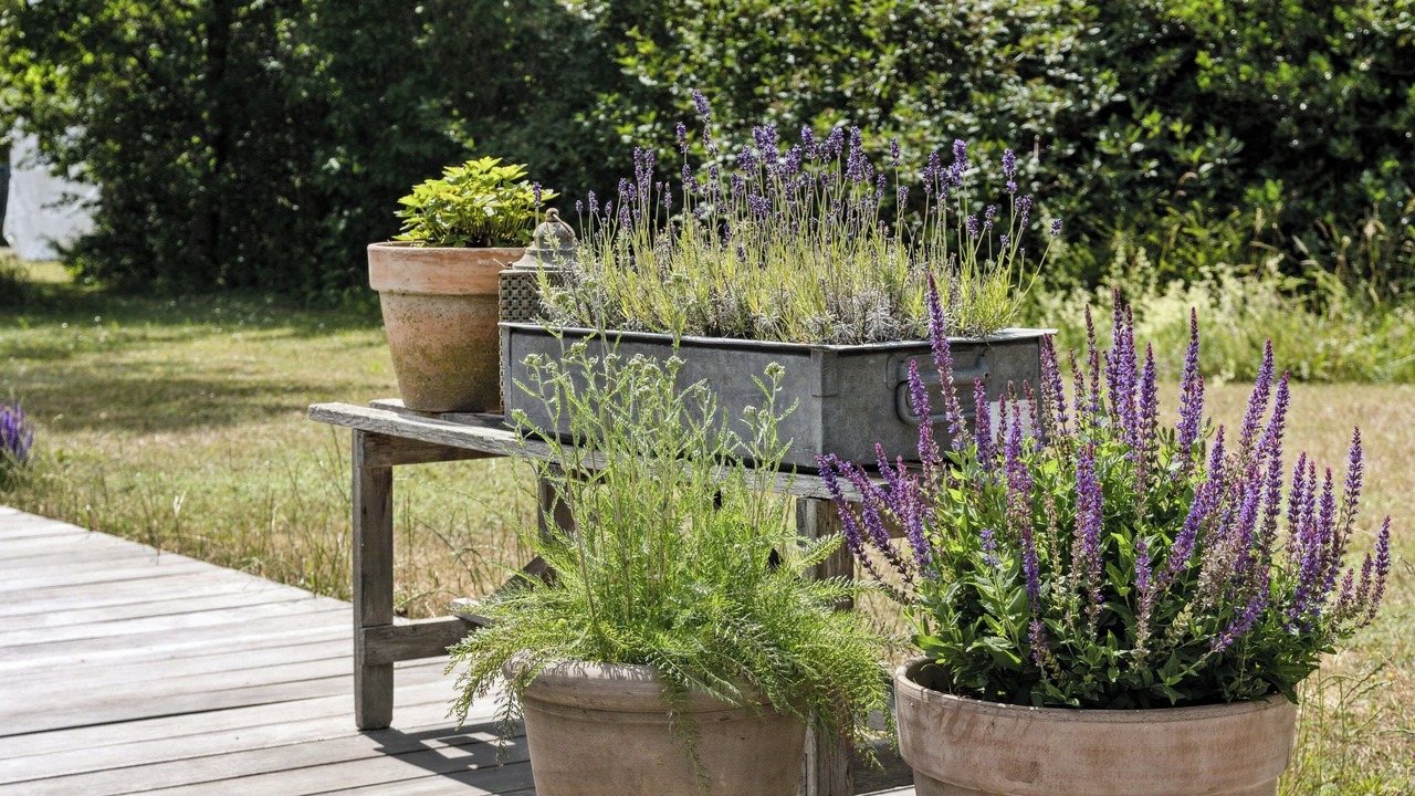 Photo of Outdoor in Nysted