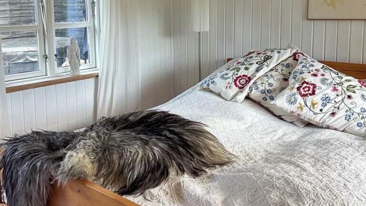 Photo of Bedroom in Nykøbing