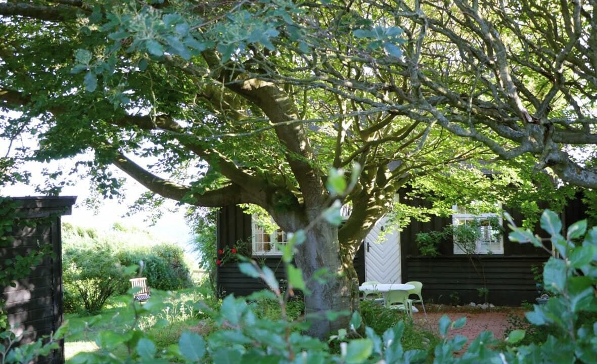 Photo of Outdoor in Kalundborg