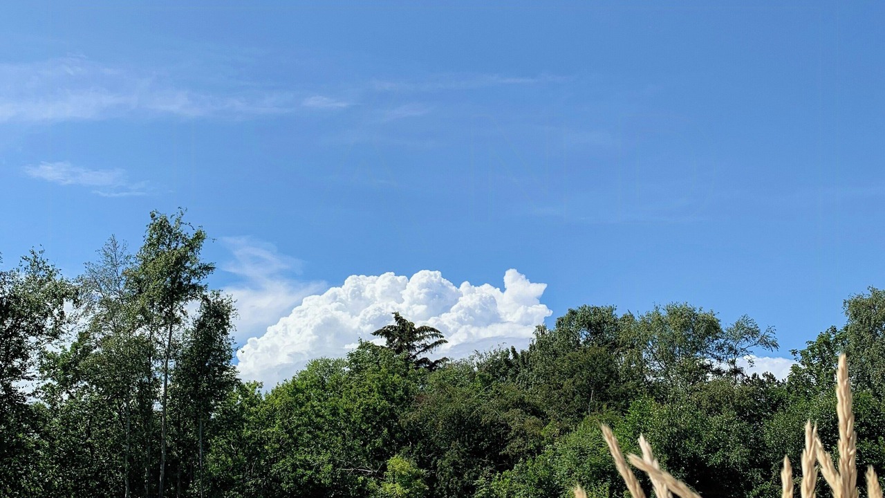Photo of Outdoor in Vestero Havn