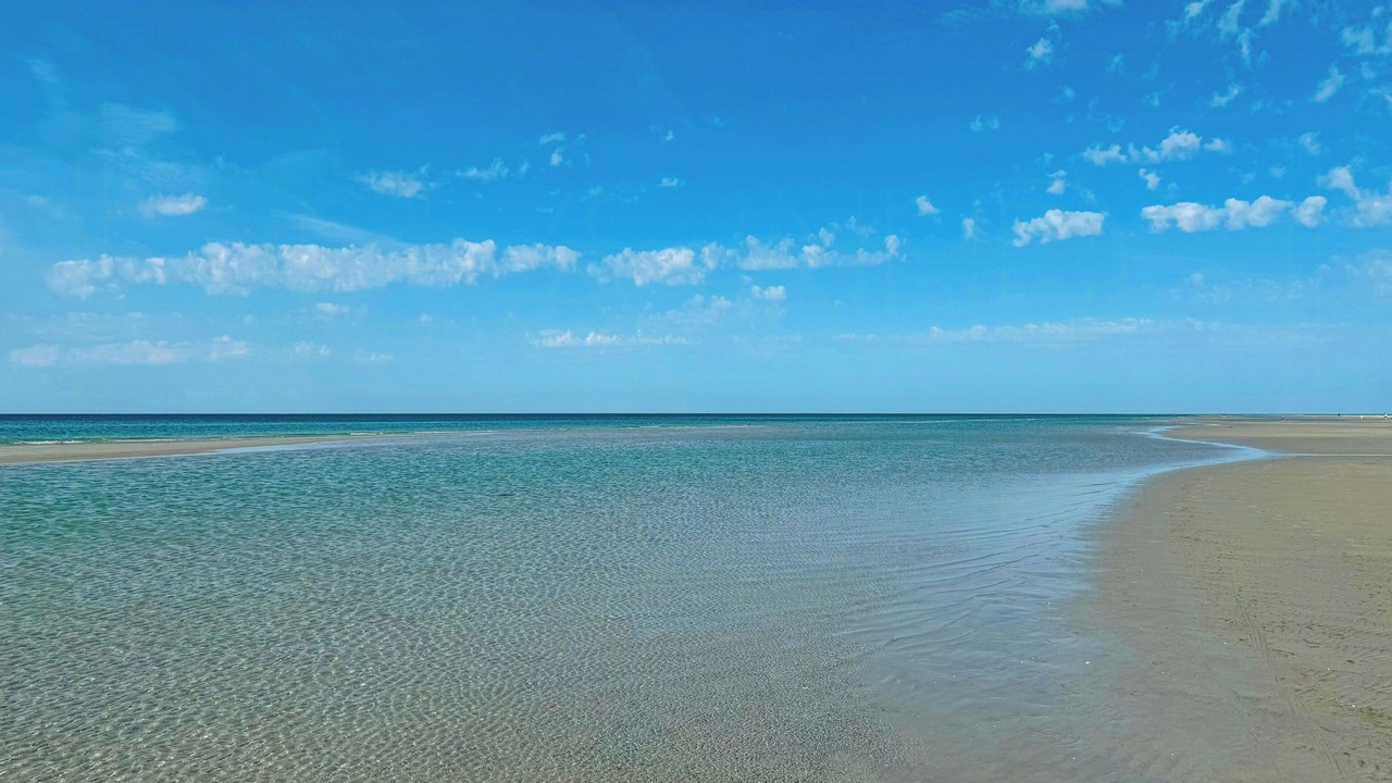 Photo of Others in Bønnerup Strand