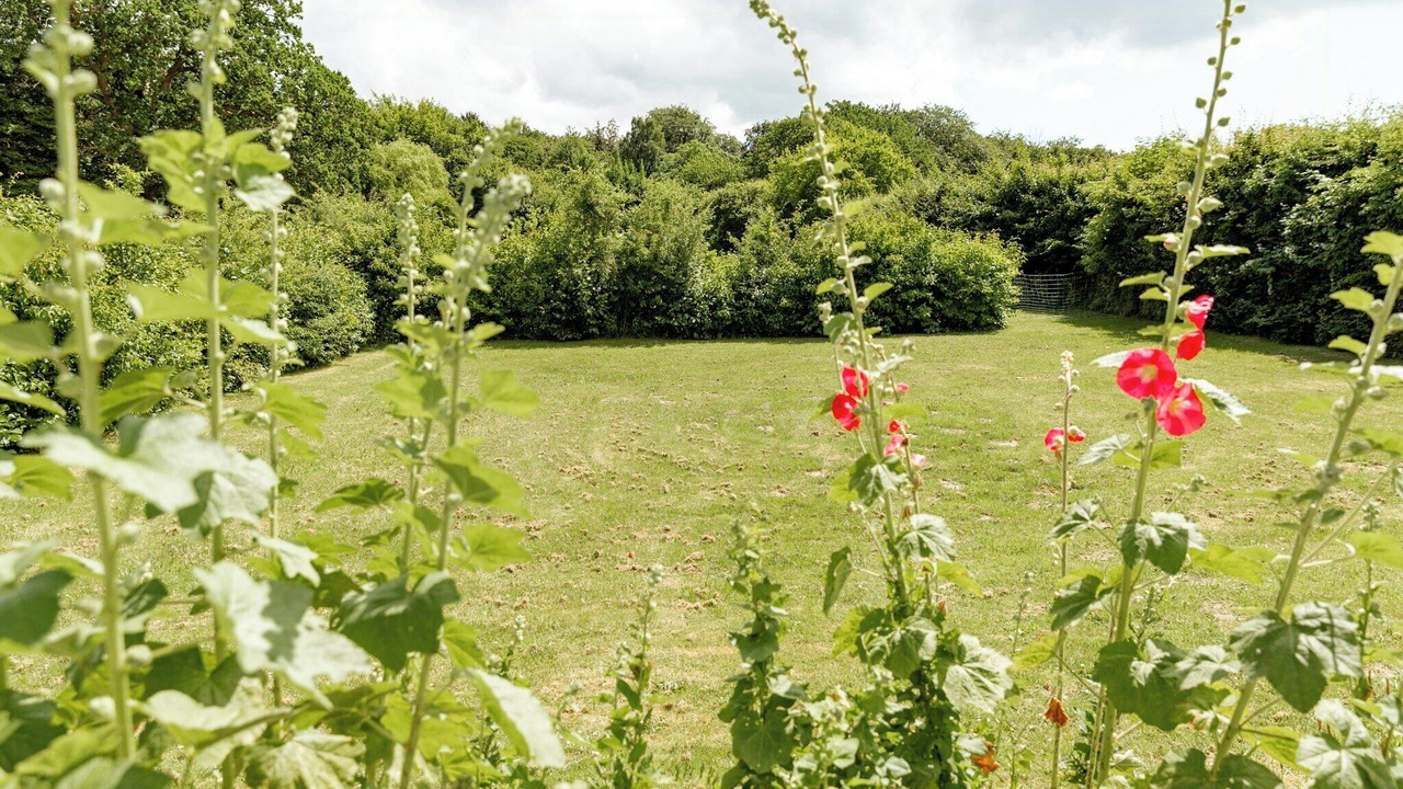 Photo of Outdoor in Maribo
