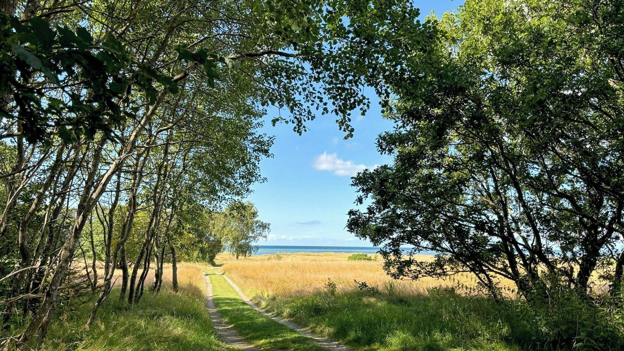Photo of Others in Fjellerup Strand