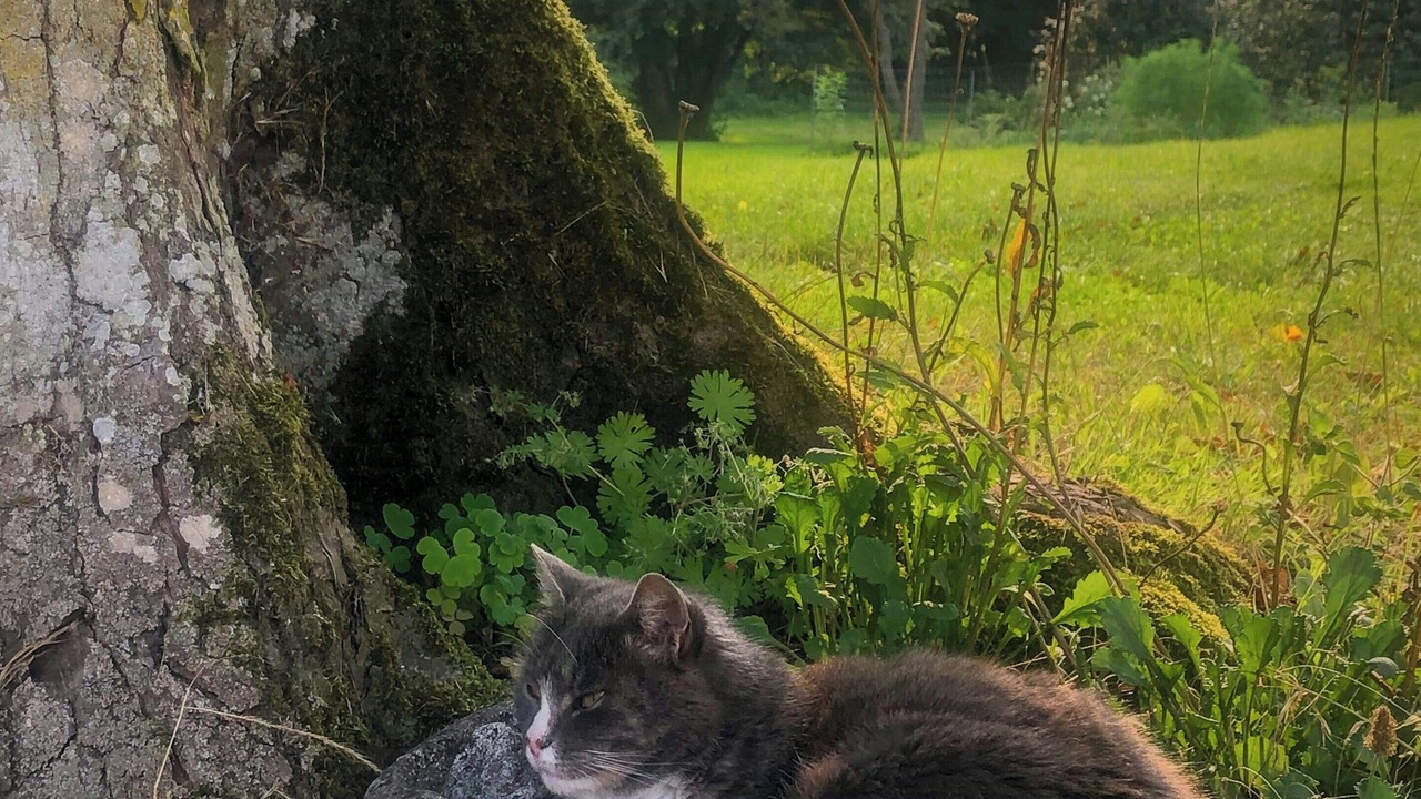 Photo of Outdoor in Faaborg-Midtfyn Municipality