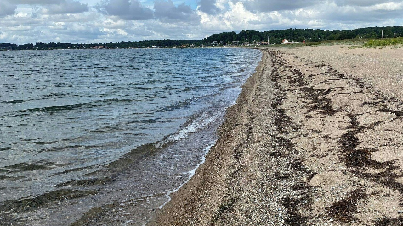 Photo of Others in Hejsager Strand