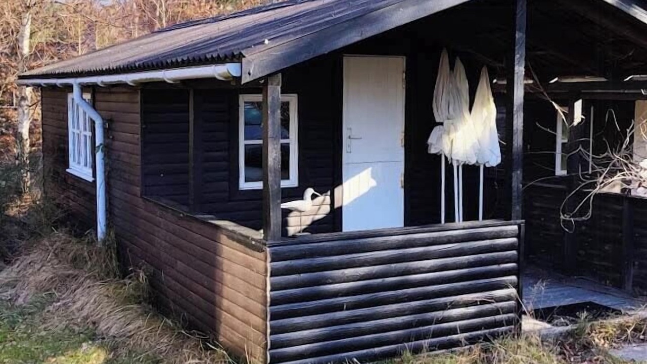 Photo of Outdoor in Hoeve Strand