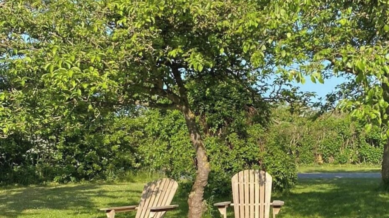 Photo of Outdoor in Guldborg