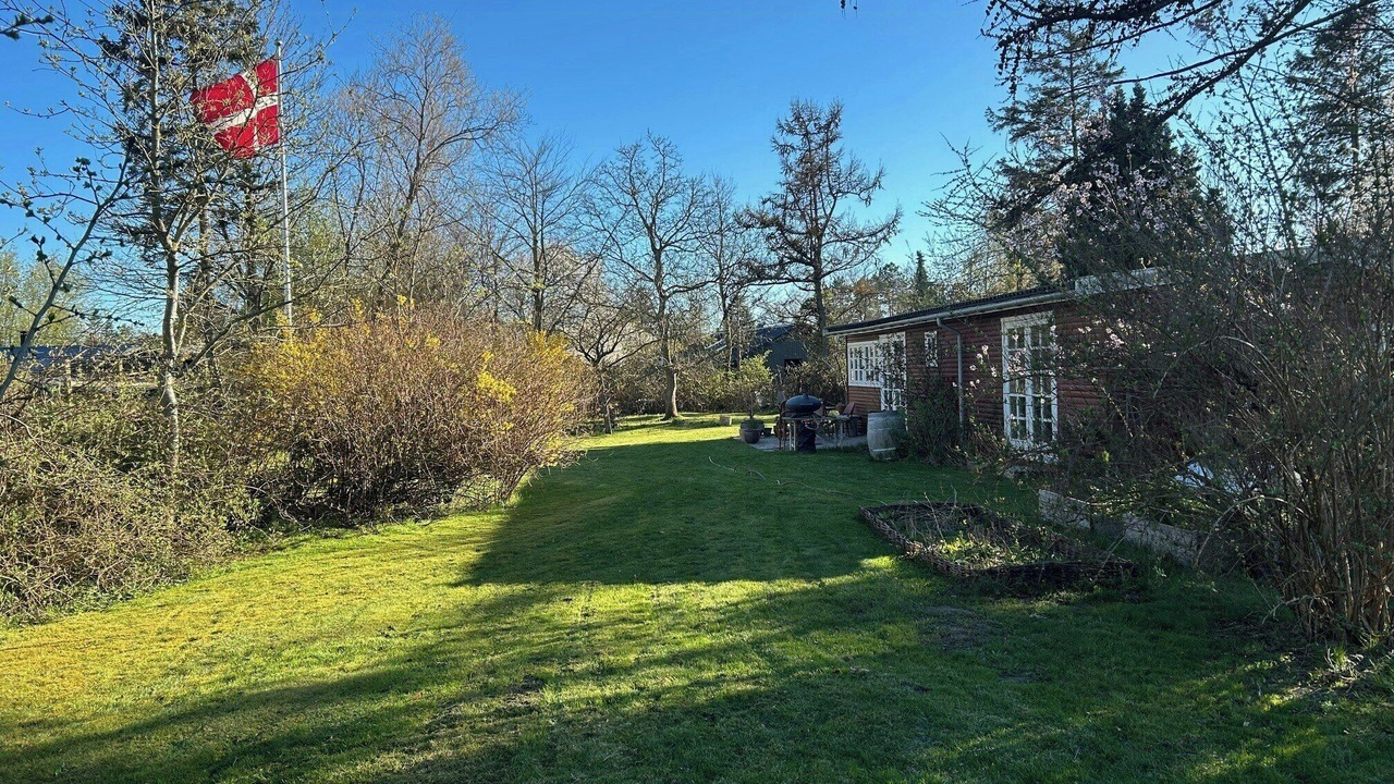 Photo of Outdoor in Bronde