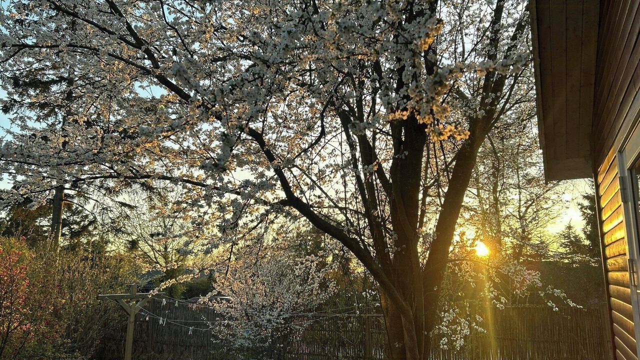 Photo of Outdoor in Bronde