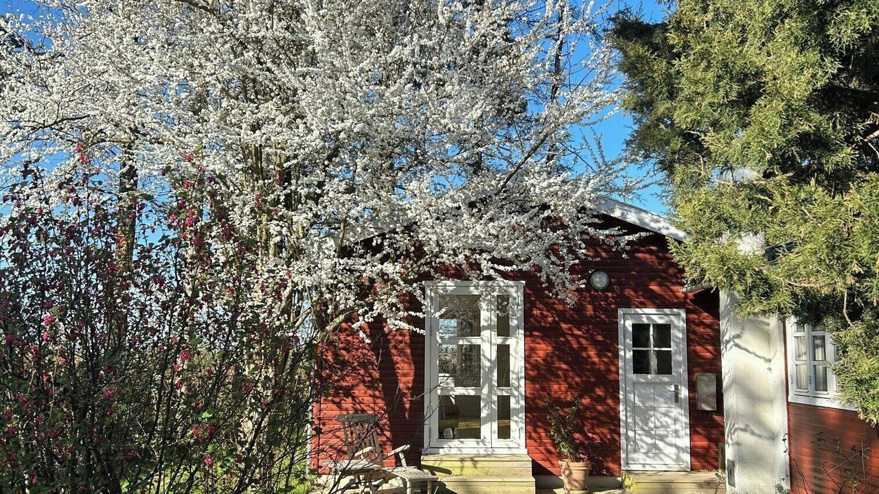 Photo of Outdoor in Bronde